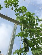 Palmo Serviced Apartment 3