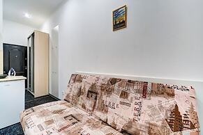 Apartments on Petrogradskaya