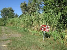 Fattoria La Steccaia