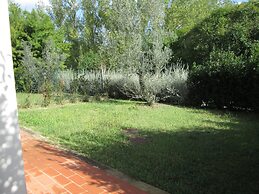 Fattoria La Steccaia