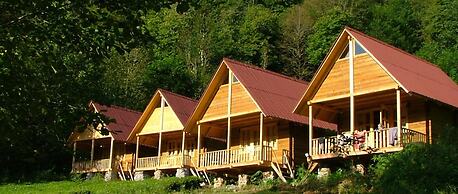 Ekodanitap Natural Life