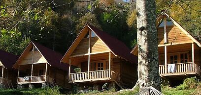 Ekodanitap Natural Life