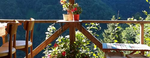 Ekodanitap Natural Life