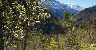 Ekodanitap Natural Life