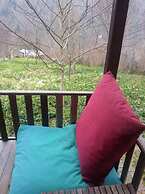 Ekodanitap Natural Life