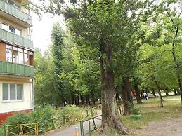 Apartment Hanaka on Shchelkovskoye