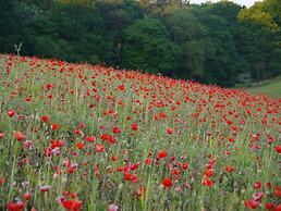 Riding Farm Cottages