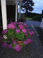 B&B Villa Ceirano Charme