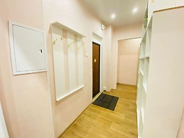Apartment Hanaka Vladimirskaya 9