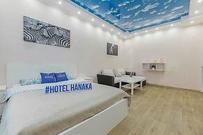 Apartment Hanaka Vladimirskaya 9