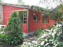 Arie s Cabin