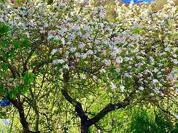 Hotel Rural Nova Ruta