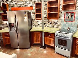 Mid-Century Style House