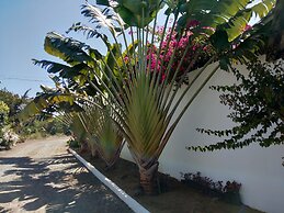 Villa Kalachuchi B&B