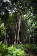 Awei Pila Mergui Archipelago