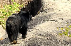 Back of Beyond Dune Camp - Yala