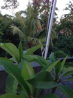 Cebluk Sari Homestay