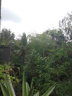 Cebluk Sari Homestay