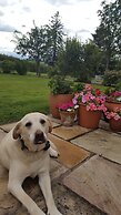Brookvale Bed & Breakfast
