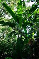 Tierra Guarani Lodge de Selva