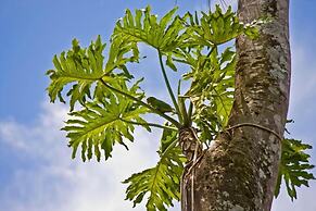 Tierra Guarani Lodge de Selva