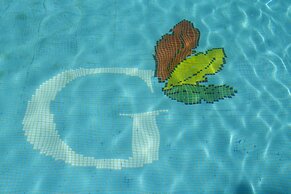 Tierra Guarani Lodge de Selva