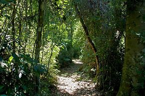Tierra Guarani Lodge de Selva