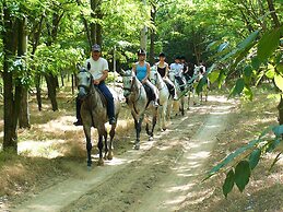 Geréby Kúria Hotel és Lovasudvar