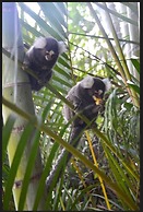 Pousada Villa Del Rey