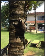 Pousada Villa Del Rey