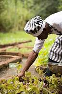 Rivertrees Country Inn