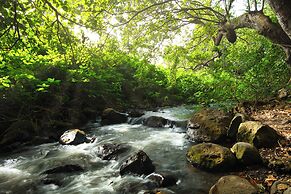 Rivertrees Country Inn