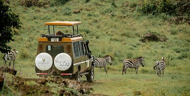 Escarpment Luxury Lodge