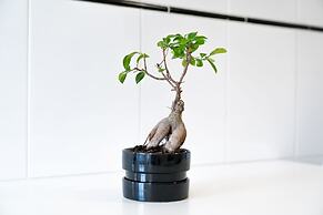 House and People - Artur Bivar