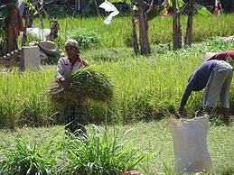 Bale Solah Lombok Holiday Resort