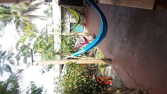 Galapagos Morning Glory