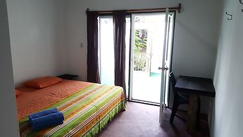 Galapagos Morning Glory