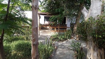 Galapagos Morning Glory