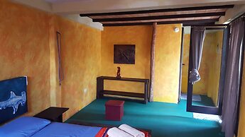 Galapagos Morning Glory