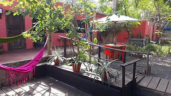 Galapagos Morning Glory