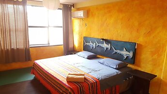 Galapagos Morning Glory