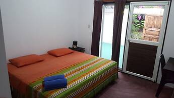 Galapagos Morning Glory