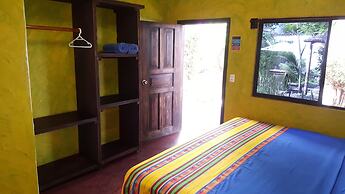 Galapagos Morning Glory