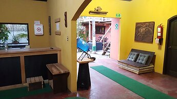 Galapagos Morning Glory