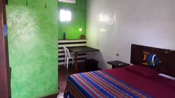 Galapagos Morning Glory