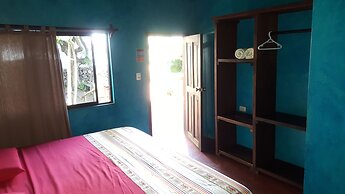 Galapagos Morning Glory