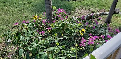 Harbour Island Residences