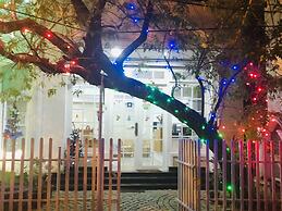 Daffodils Spice Court