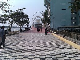 Daffodils Spice Court