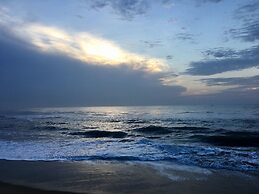 Daffodils Spice Court